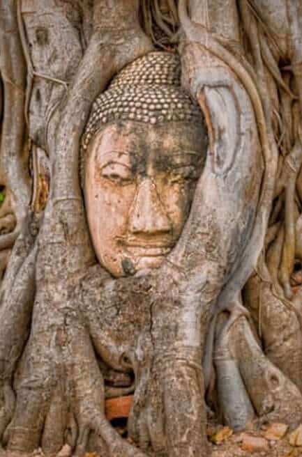 Ayutthaya Historical Park