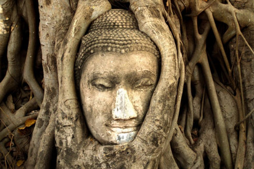 Explore Ayutthaya Thailand-Guide