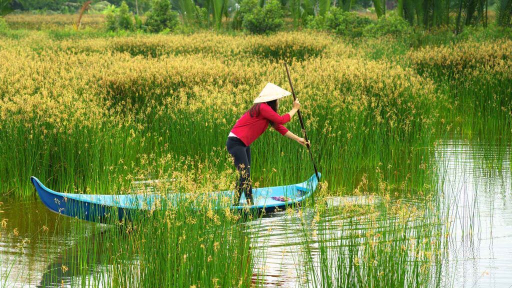 Mekong Delta