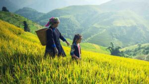 Sapa Vietnam Asia Travel Guide