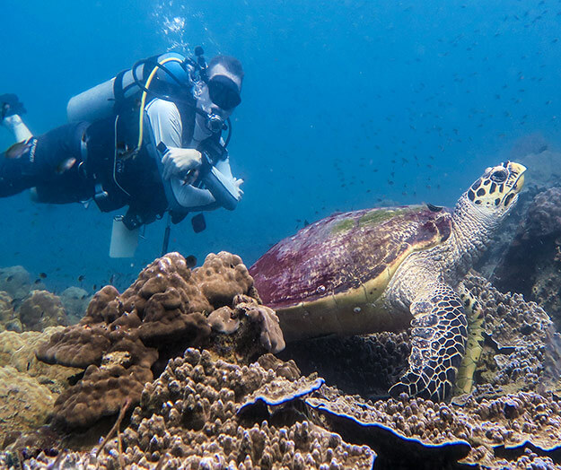 Scuba Diving Pattaya Thailand - pattaya-scuba-adventures.com